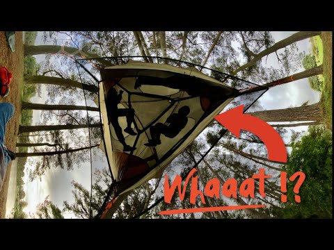 Spider Tree Tent Spider Tree Tent