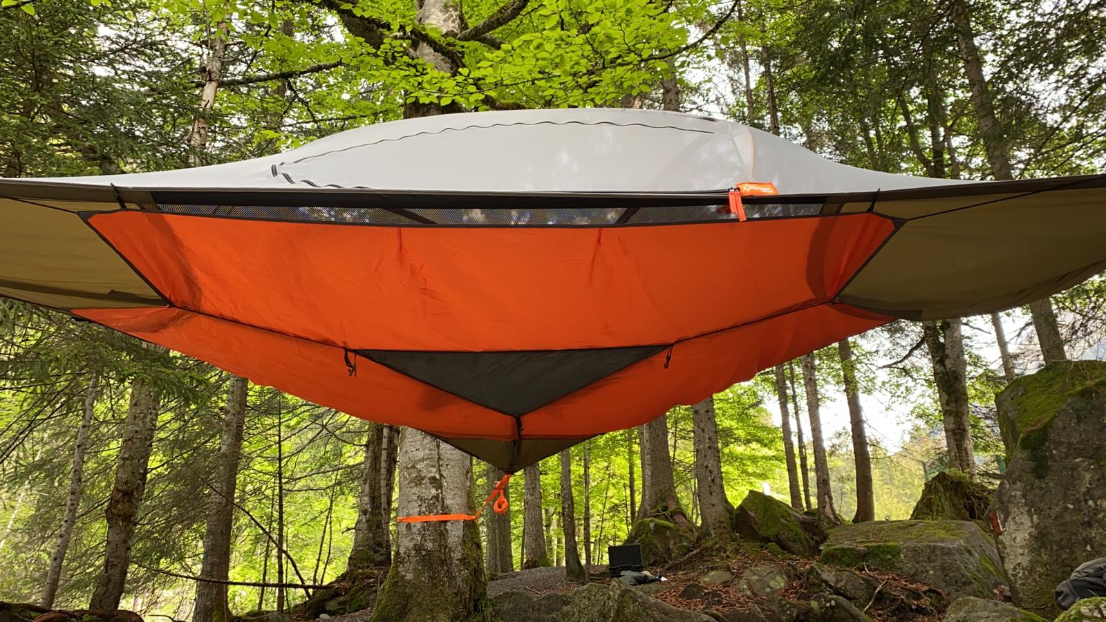 Spider Tree Tent Spider Tree Tent