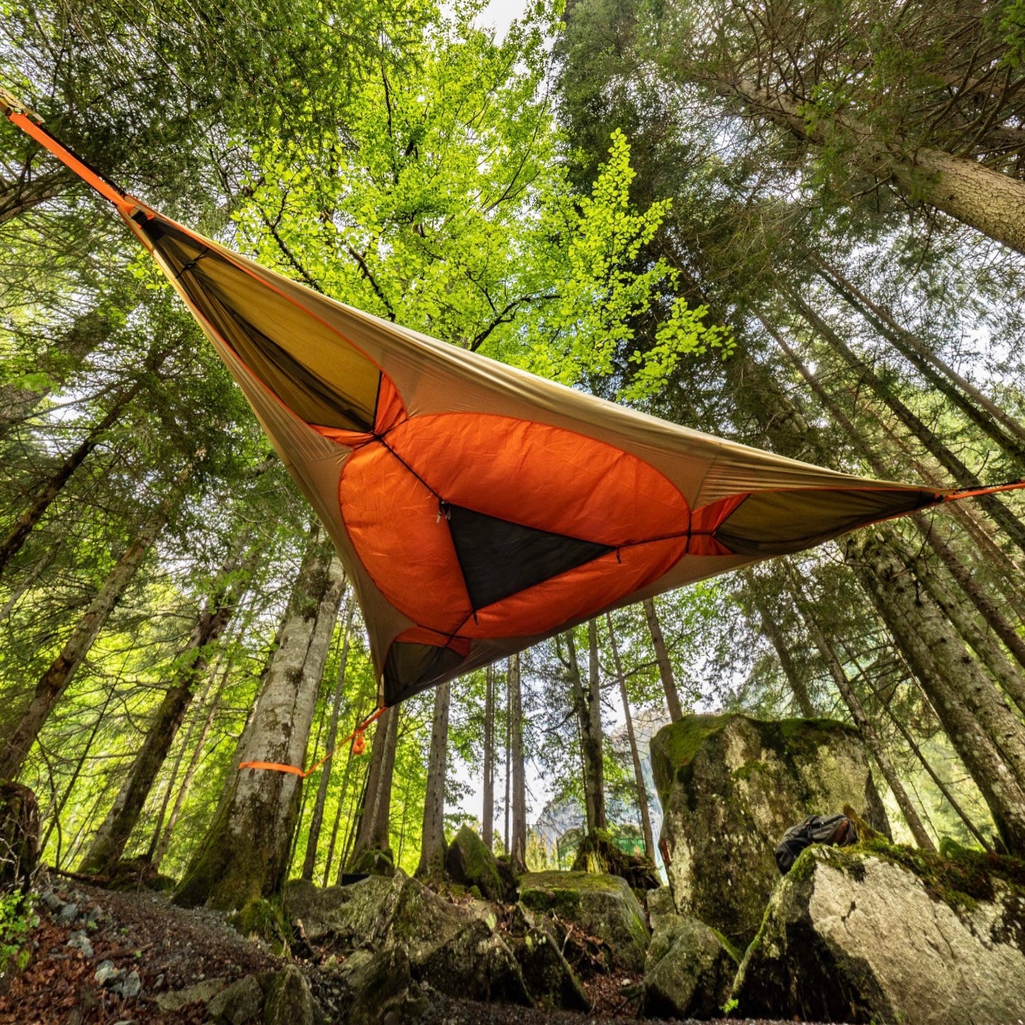 Spider Tree Tent Spider Tree Tent