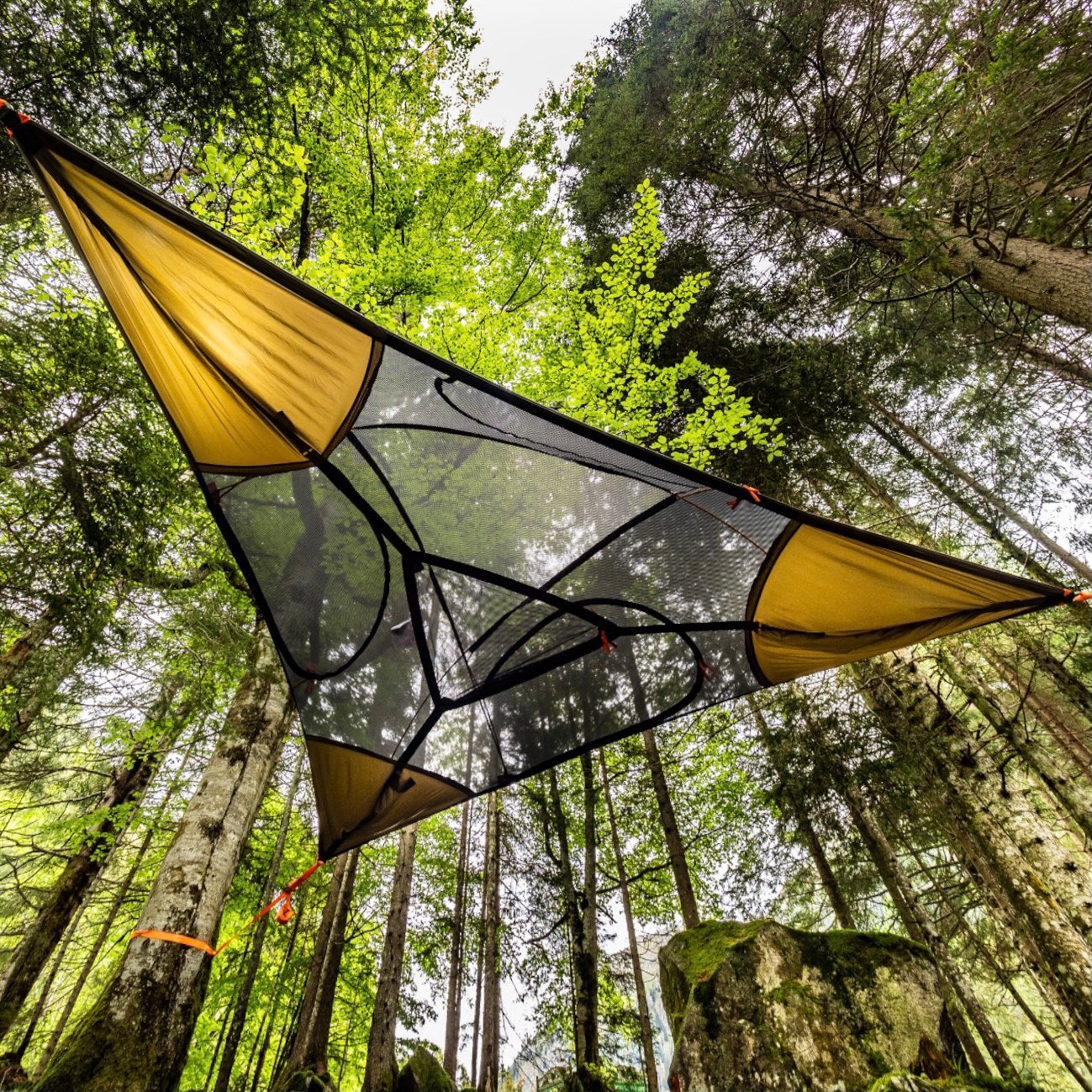 Spider Tree Tent Spider Tree Tent