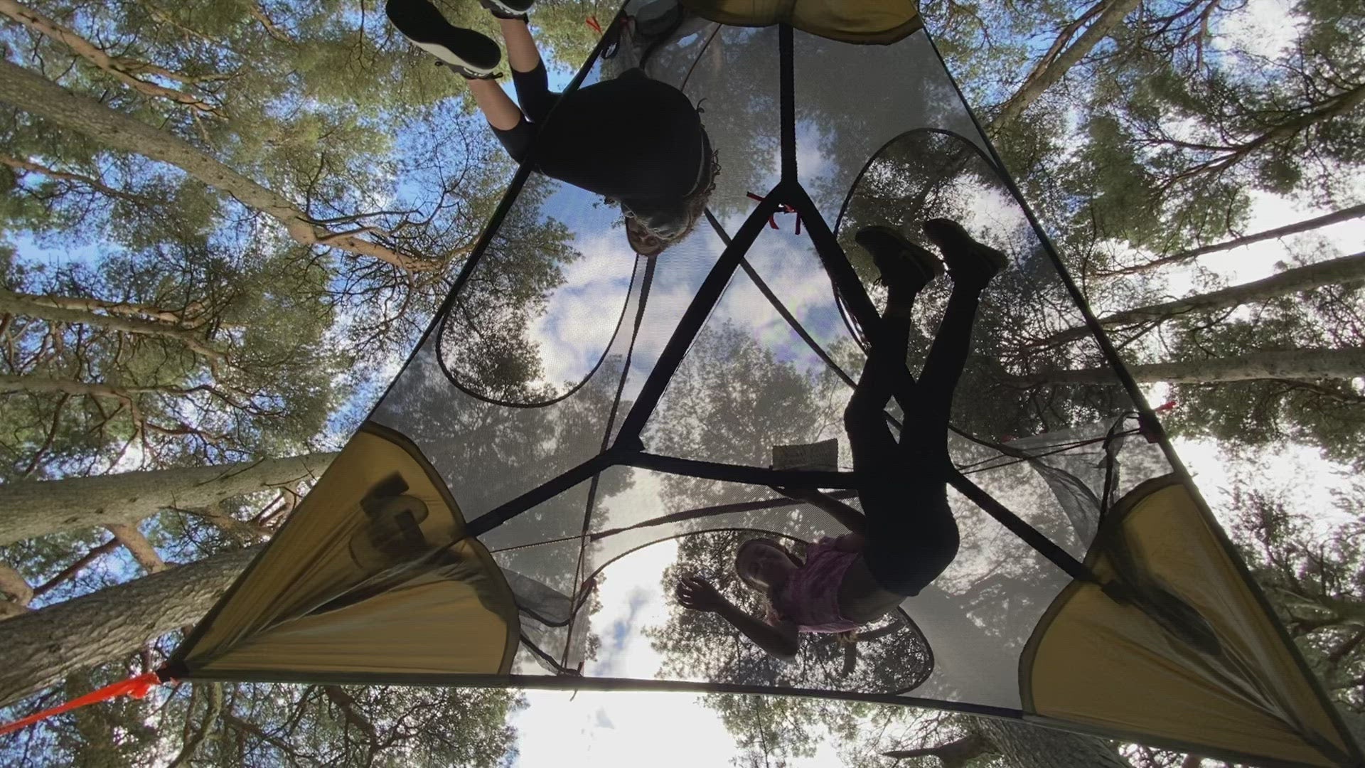 Spider Tree Tent