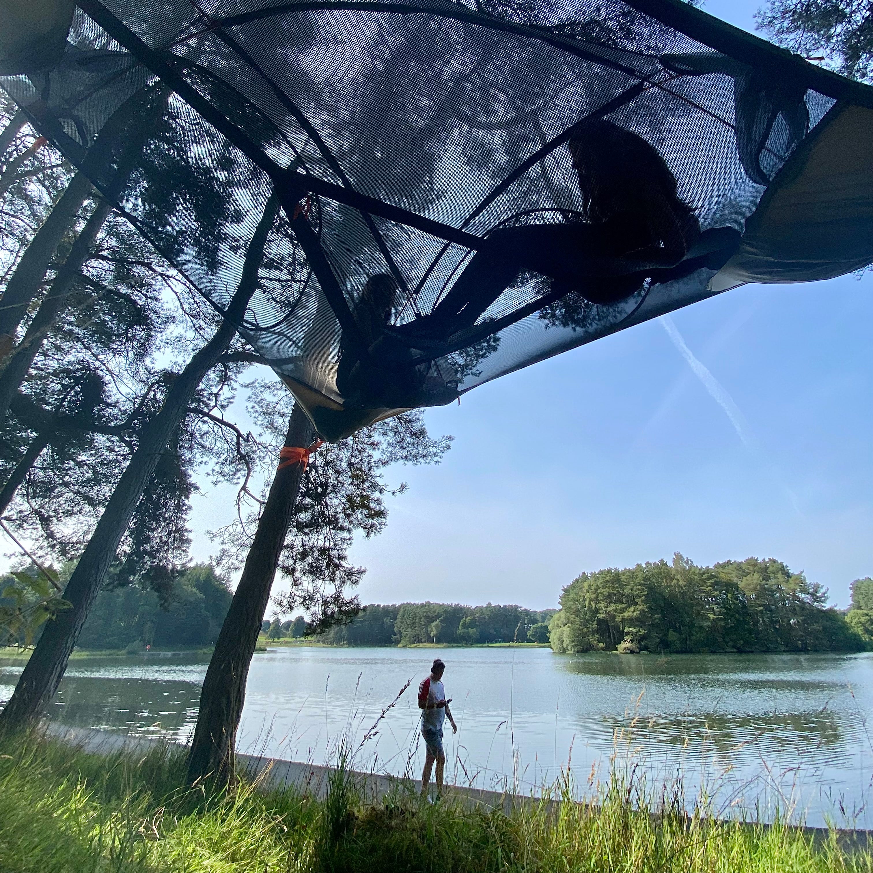 Spider Tree Tent