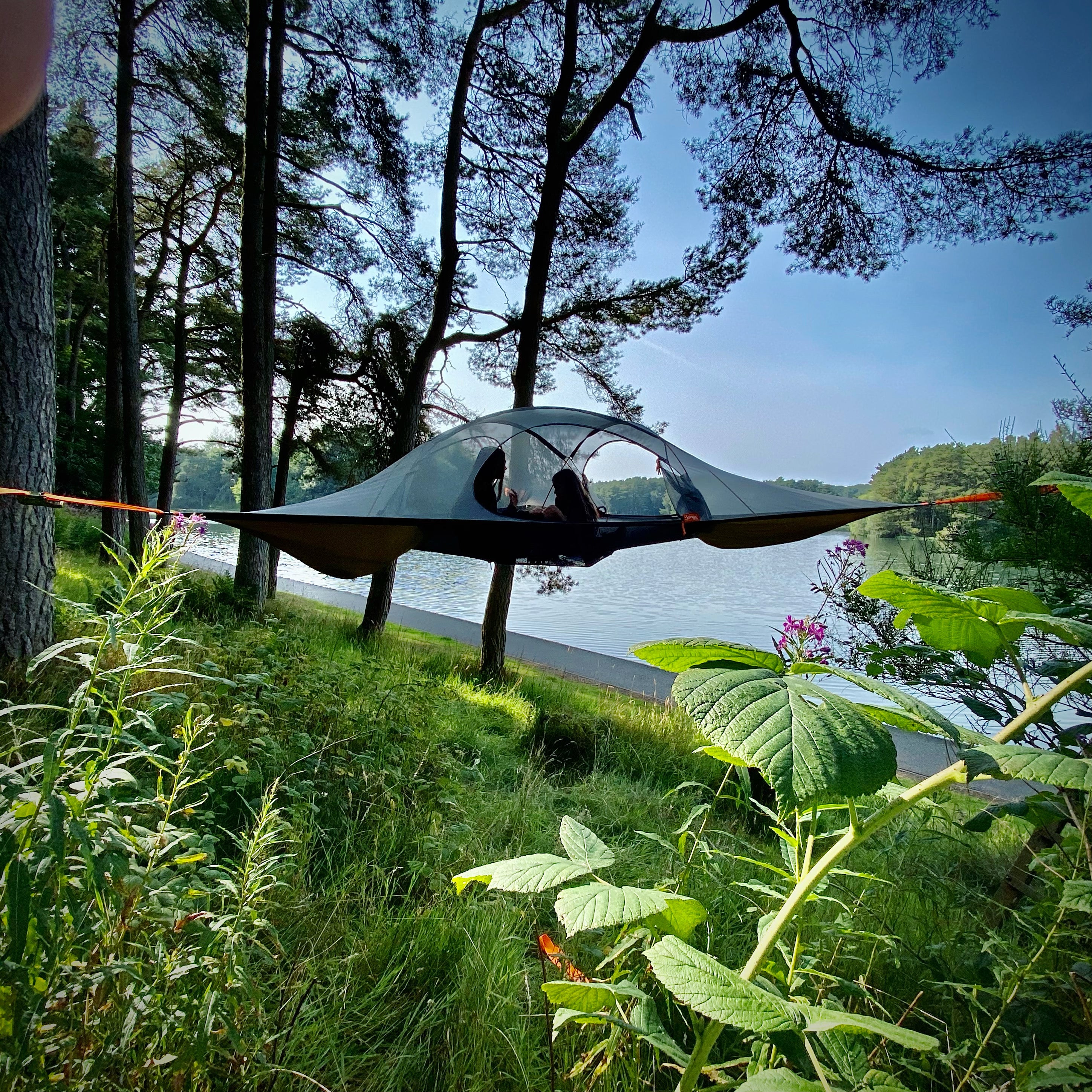 Spider Tree Tent