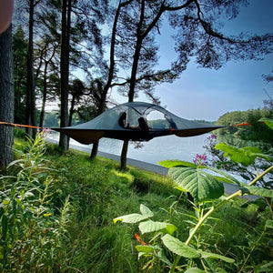 Spider Tree Tent