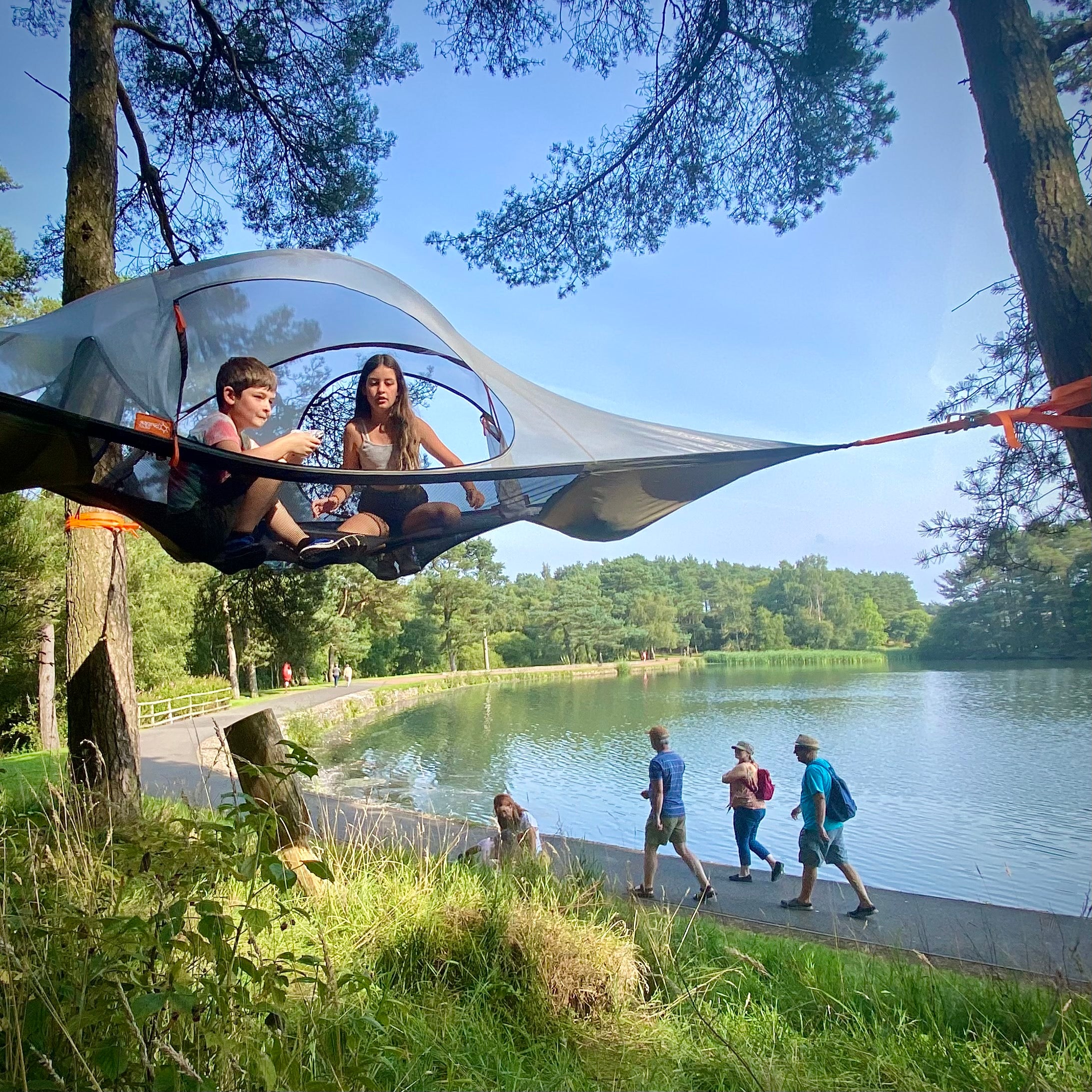 Spider Tree Tent