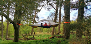 Spider Tree Tent