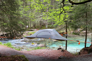 Spider Tree Tent