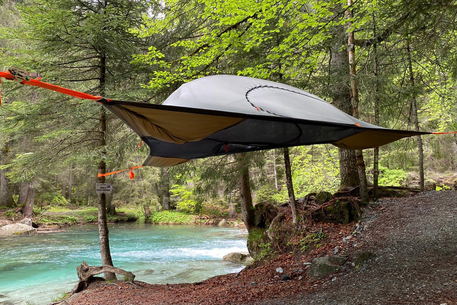 Spider Tree Tent